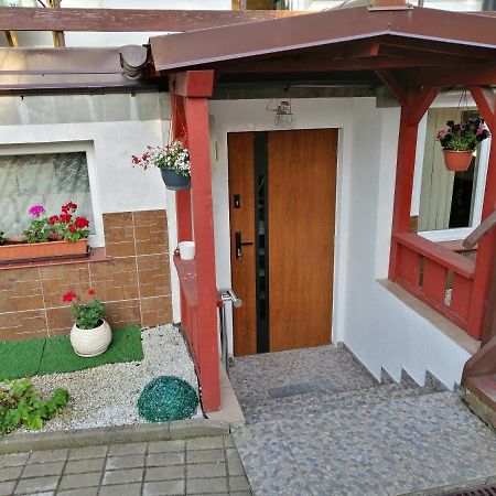 Apartament Przy Parku Malbork Exteriér fotografie